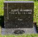 Albert Valhammer