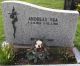 Andreas Vea