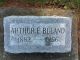 Arthur Elias Buland