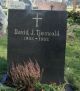 David Johan Tjøswold