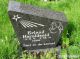 Erlend Haraldseid
