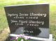 Johan Sigurd Jonasen Wannberg*