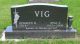 Kenneth Harvey Vig