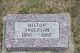 Milton Johan Anderson