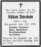 Håkon Haakonsen Storstein*