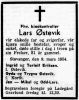 Lars Andreas Andersen Østevik*