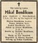 Mikal Klovning Bendiksen
