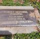 Robert Mitchell Johnson