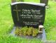 Vilhelm Dybdahl